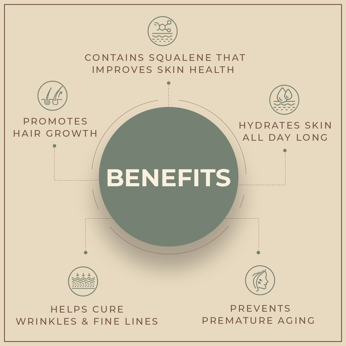 Salvia Natural Carrier Oils Camellia Oil (Camellia oleifera) Pure & Natural Carrier Oil Salvia Natural Carrier Oils Camellia Oil (Camellia oleifera) Pure & Natural Carrier Oil